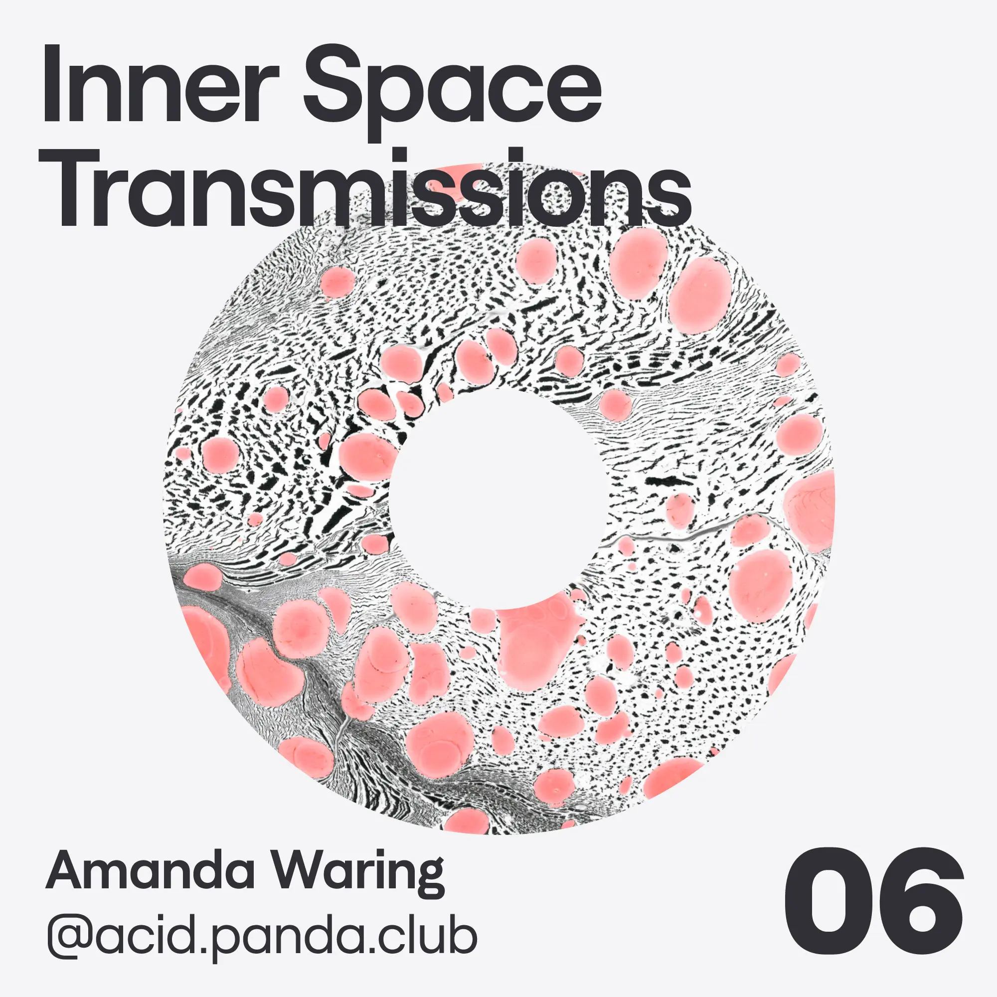 Transmission 06 cover art